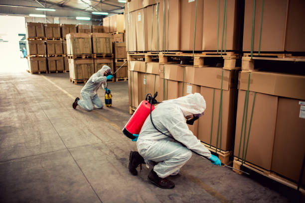 Best Flea Control Services  in Carthage, NY