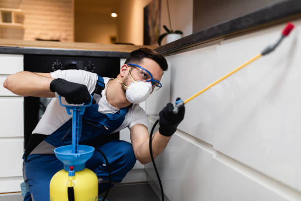 Best Best Pest Control Companies  in Carthage, NY