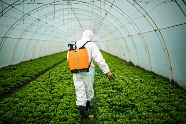 Best Best Pest Control Companies  in Carthage, NY