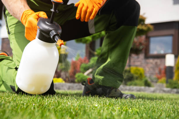 Best Wasp Removal Services  in Carthage, NY