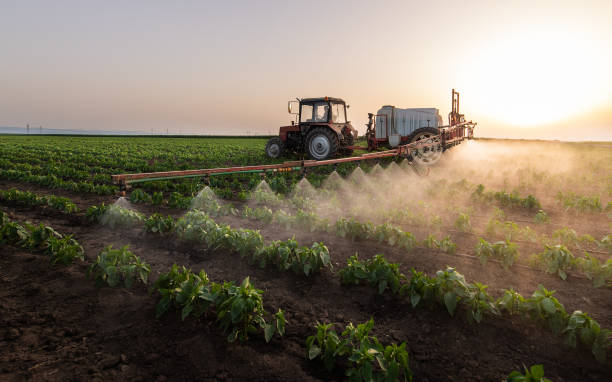 Best Pest Control Cost  in Carthage, NY