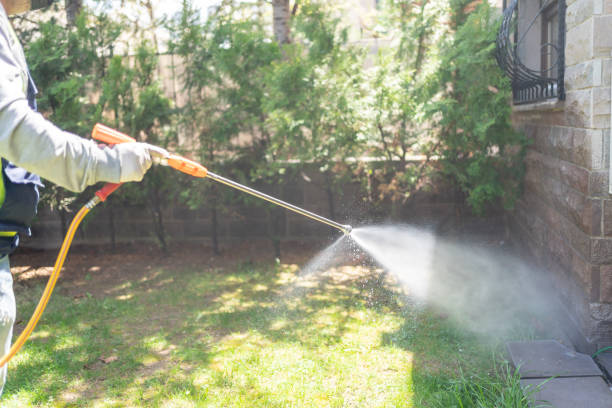 Flea Control Services in Carthage, NY